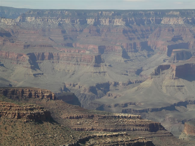 images/D-Navajo Point- Canyon View (18).jpg